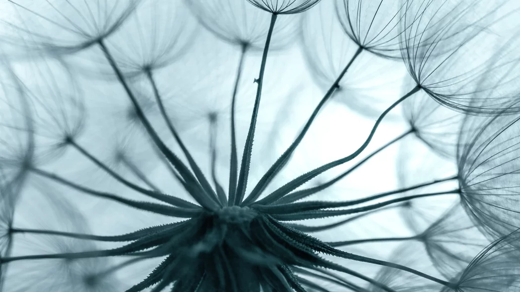 Anti-Aging@2x.b3045ba5