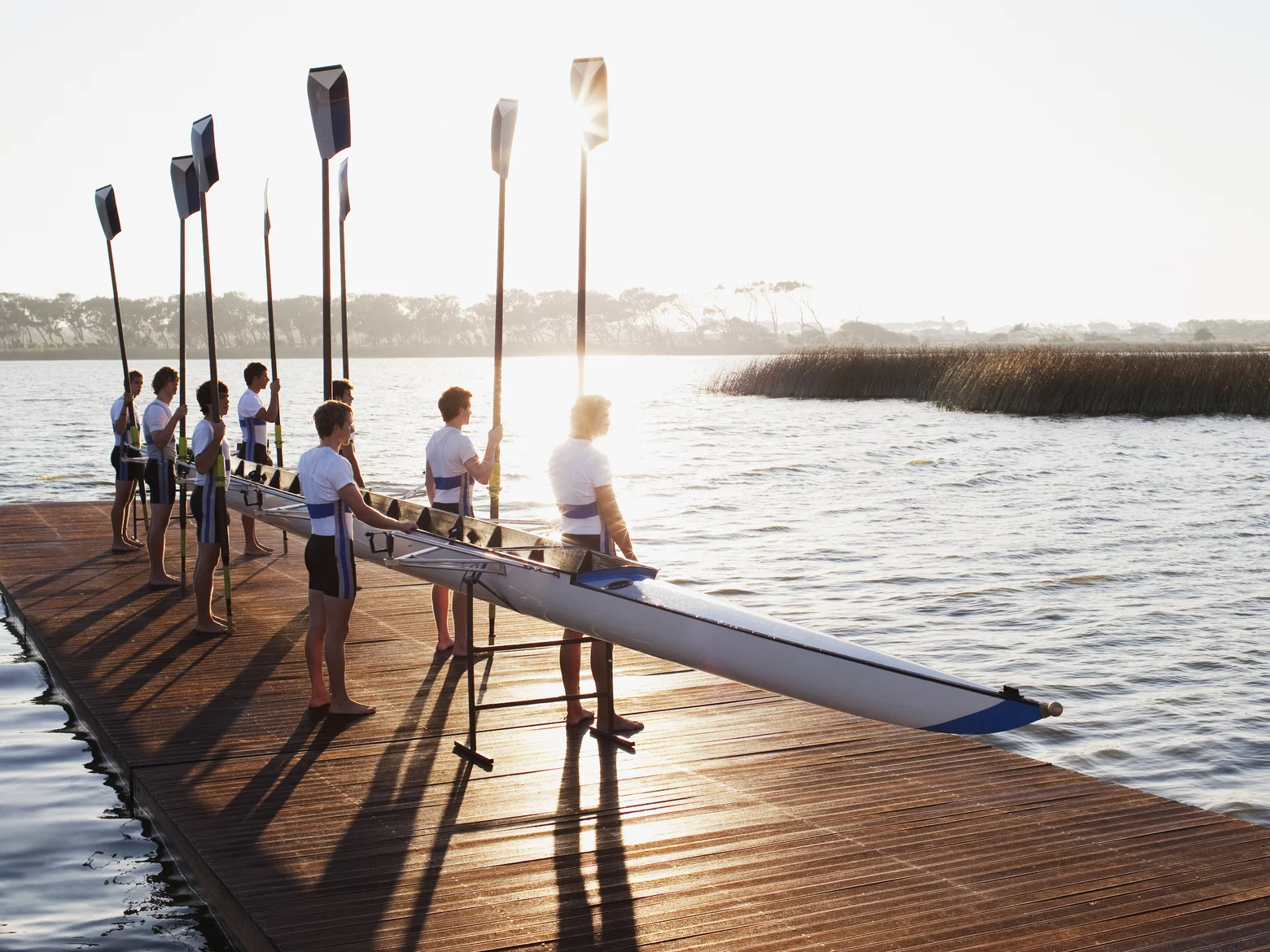 Darmbakterien~-~media--8721fb40--query@2x.7d03d757