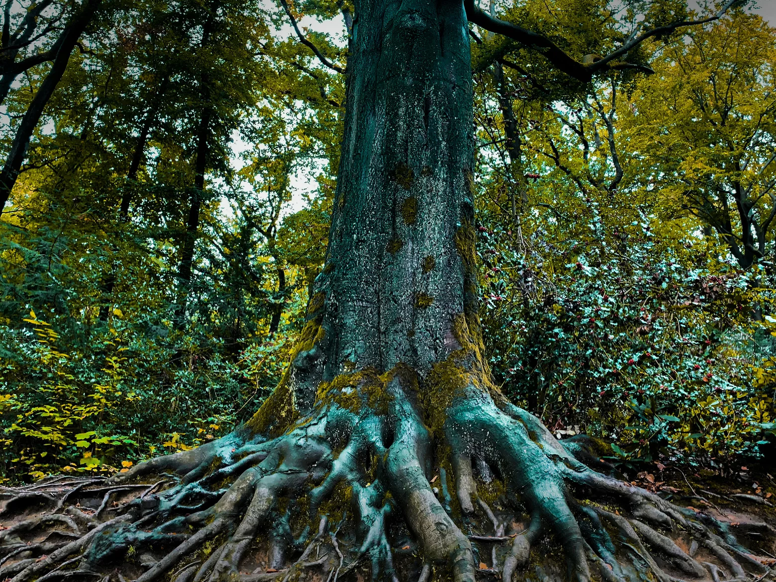 Diaminoxidase-natuerliches-enzym~-~media--8721fb40--query@2x.6817e21a