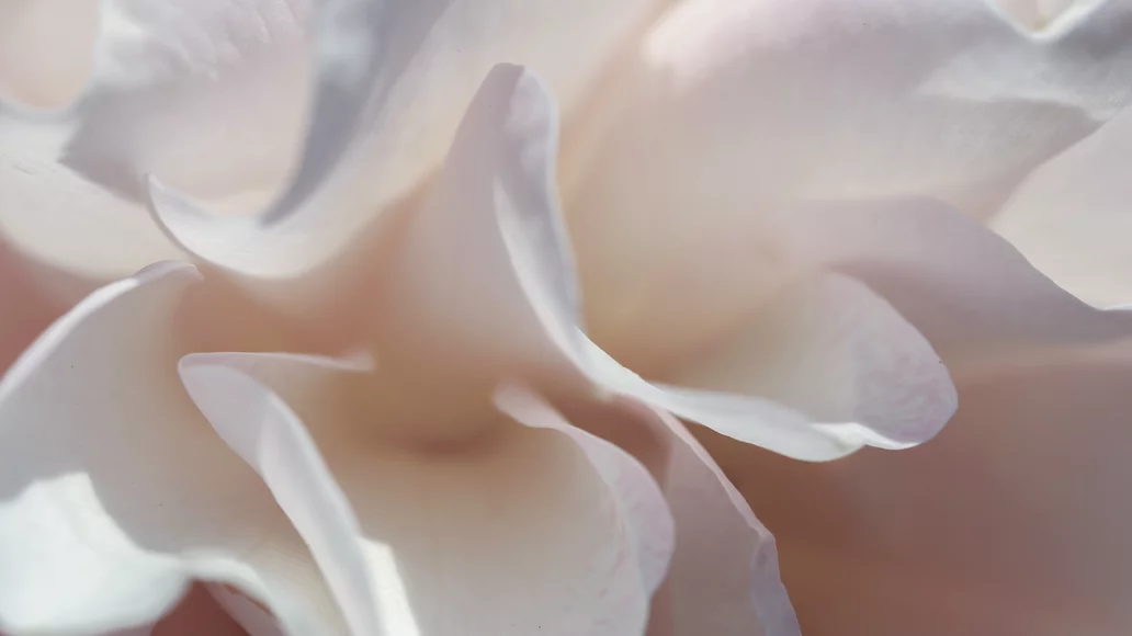 Frauengesundheit@2x.338316af