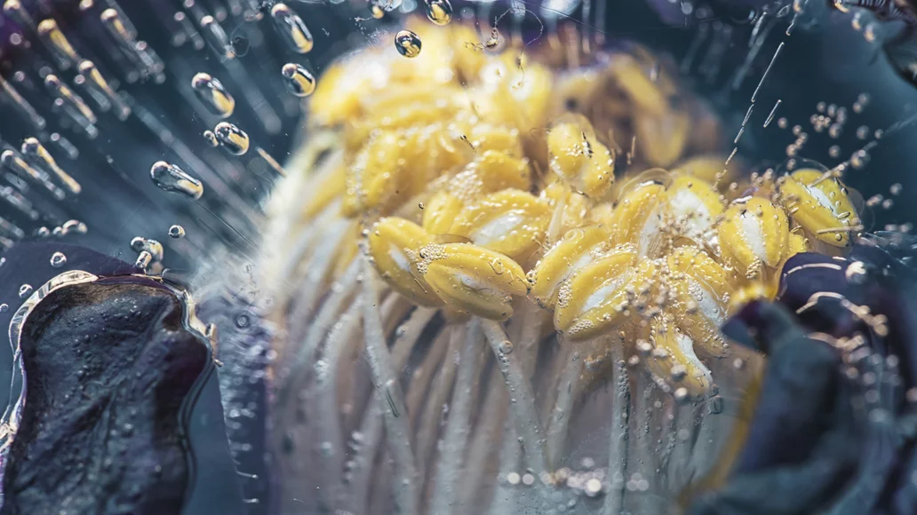 Kindergesundheit@2x.07861feb