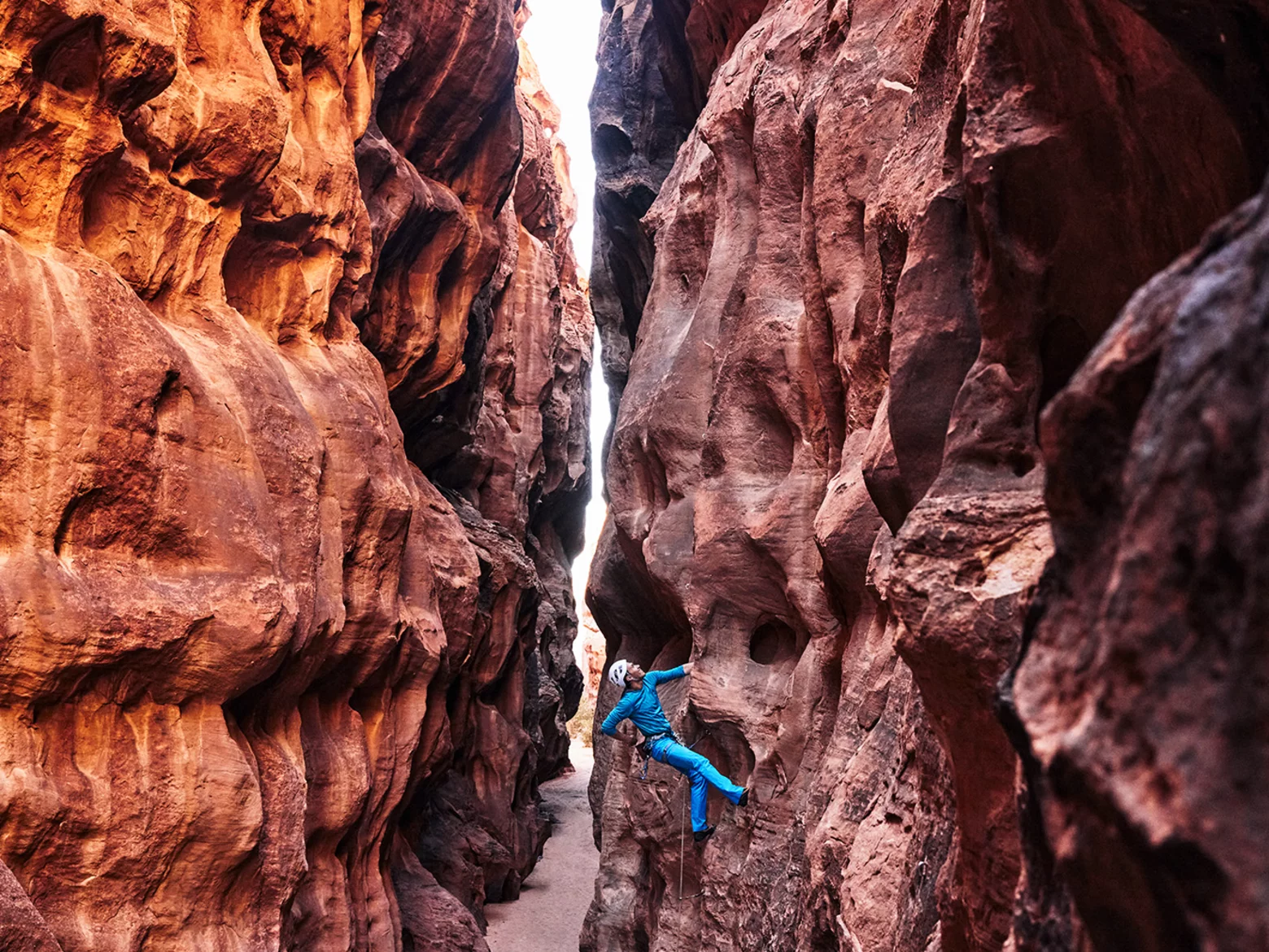 Magnesiumcitrat~-~media--8721fb40--query@2x.1ce98a5d