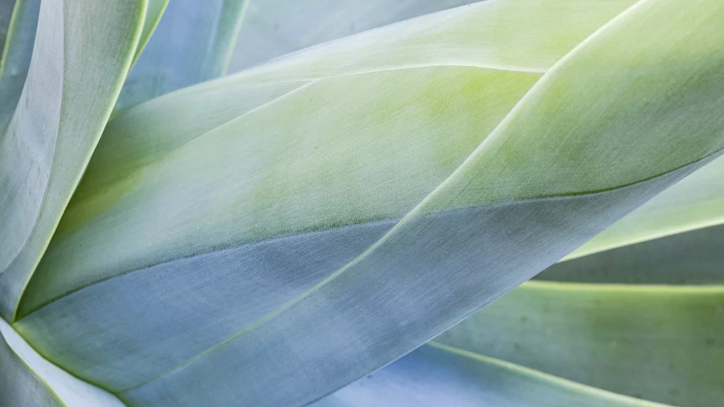 Nerven & Psyche_nerves & psyche@2x.a74993e1