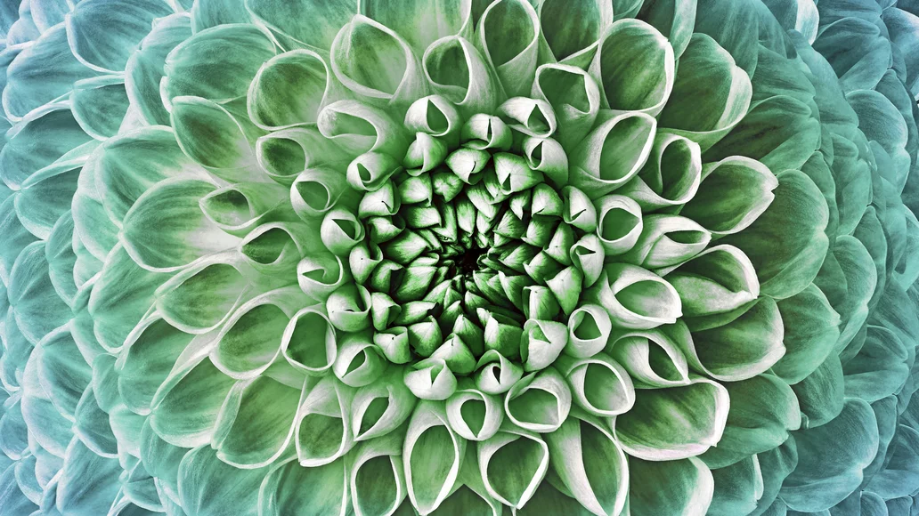 Schönheit@2x.9a9273aa