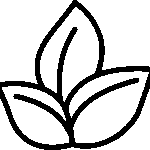 Substancat dytësore bimore