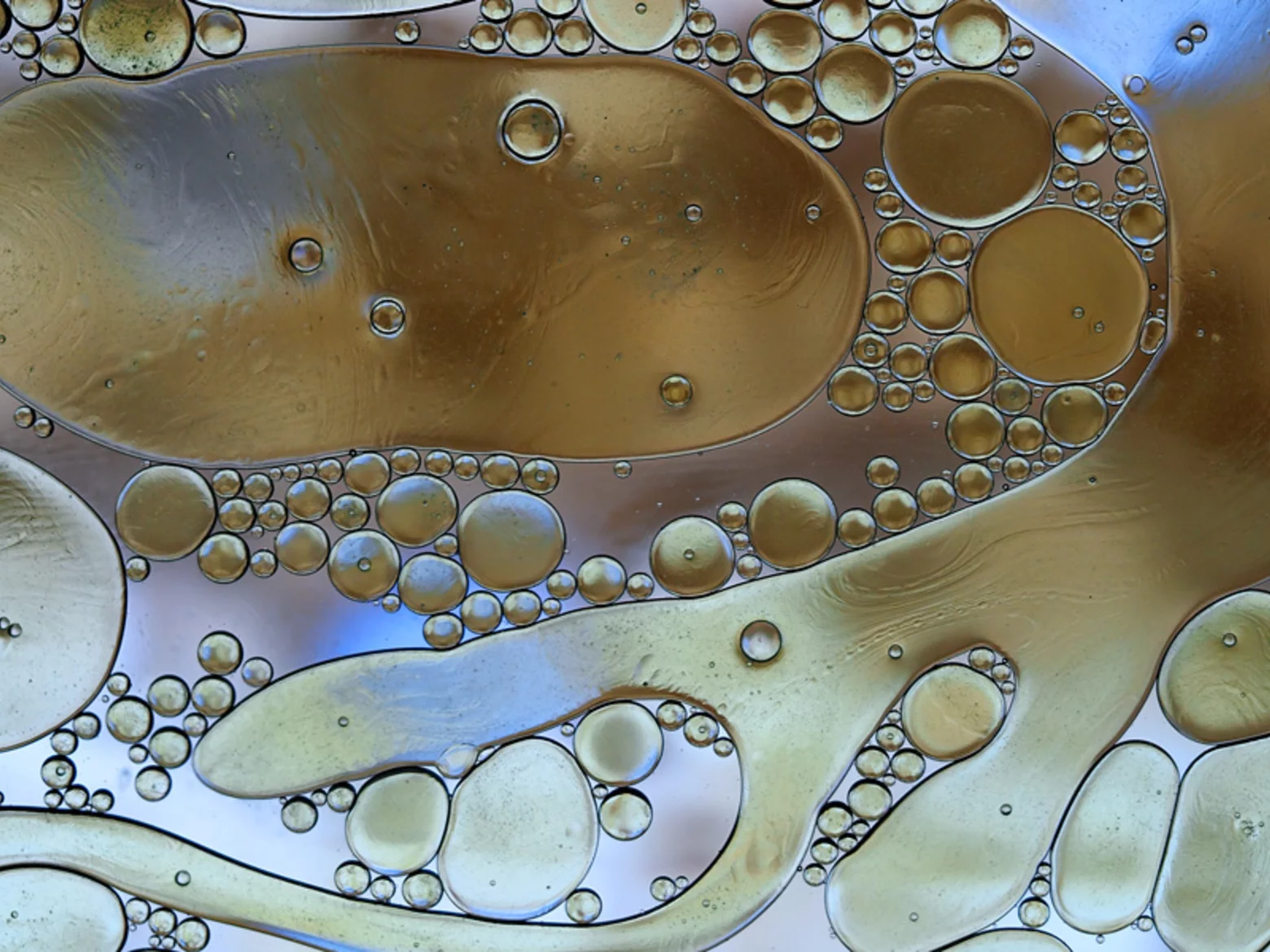 gesunde-fette-ungesunde-fette~-~media--8721fb40--query@2x.31b113ee